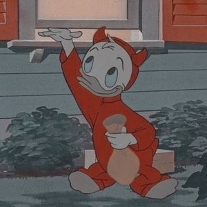 Meet your Posher, bee